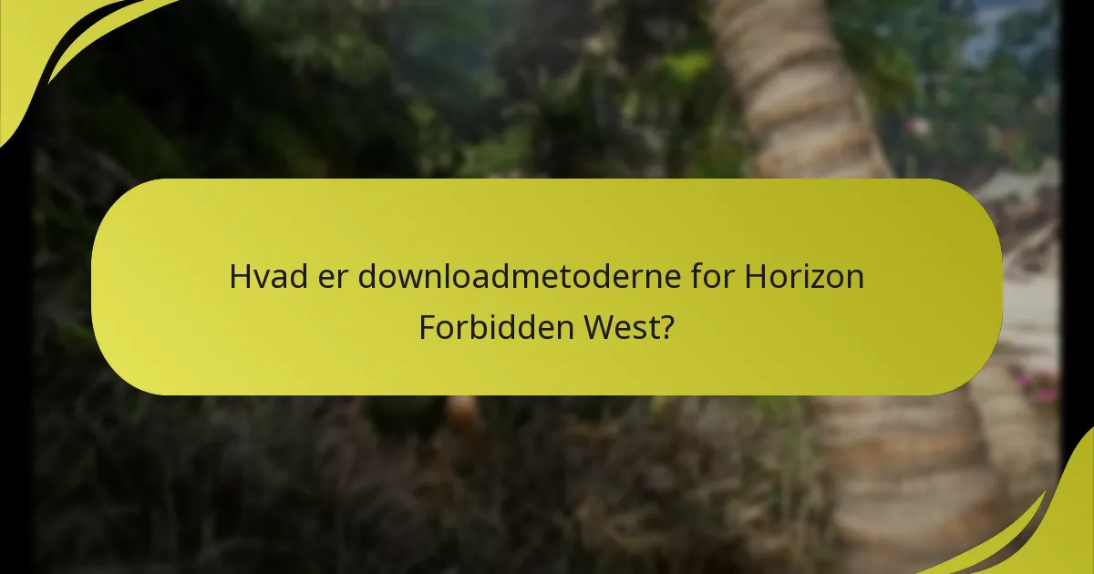 Hvad er rettighedstjek for Horizon Forbidden West?