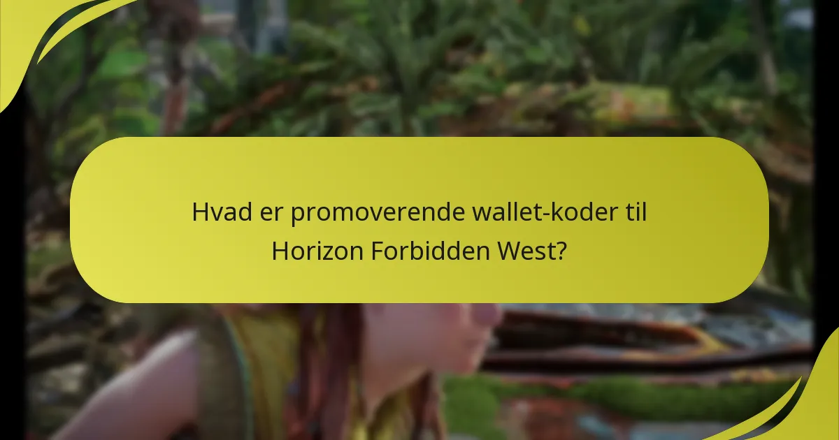Hvem er berettiget til at indløse promoverende wallet-koder?
