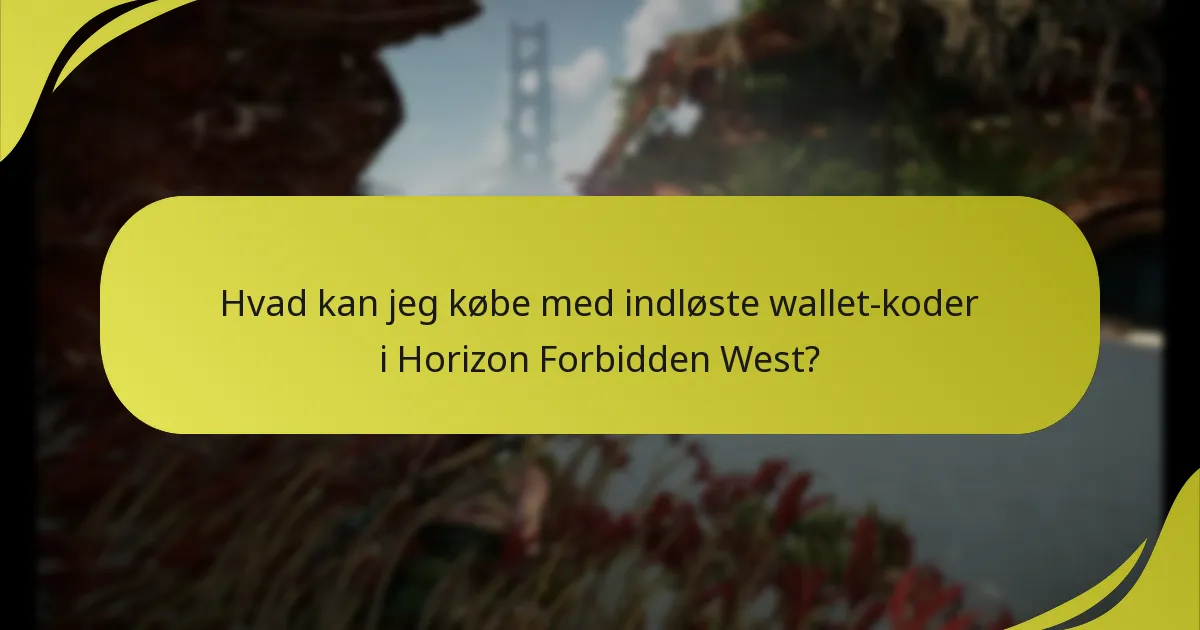 Hvilke fejlfindingstrin kan jeg tage, hvis min wallet-kode ikke virker?