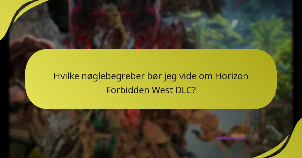 Hvilke almindelige problemer opstår, når man gør krav på DLC-rettigheder?